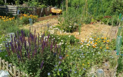 Des parcelles potagères disponibles avec Comm’un jardin de Mey