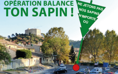 Opération « Balance ton sapin » du 26 décembre au 31 janvier : la Métropole récupère vos sapins